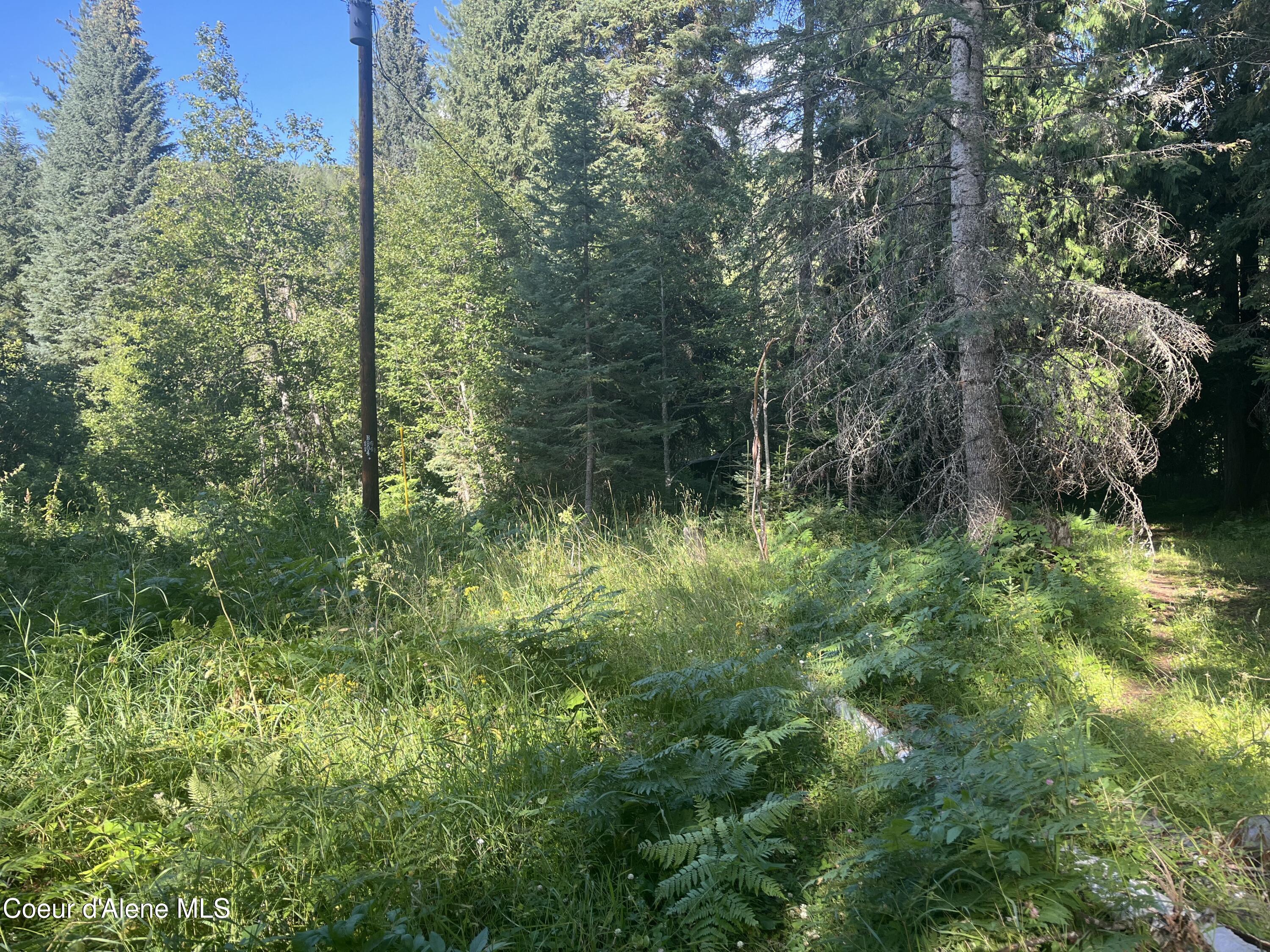 0 Upper Pack River Road Sandpoint, ID 83864 - Photo 10 of 33 IMG_5564 - Copy