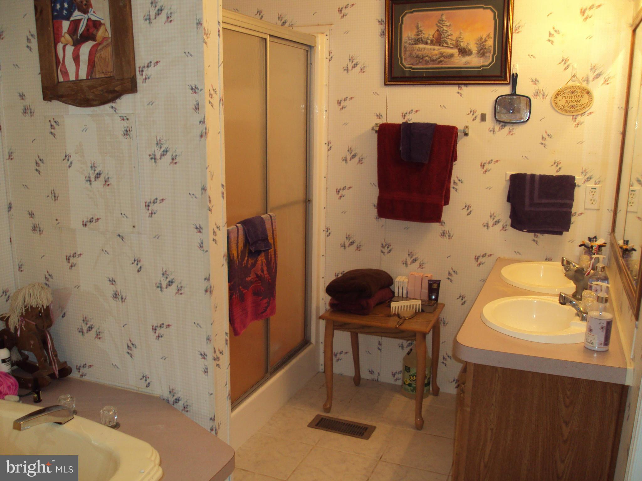 464 Marple Road Winchester, VA 22603 - Photo 5 of 12 Bath (Master)