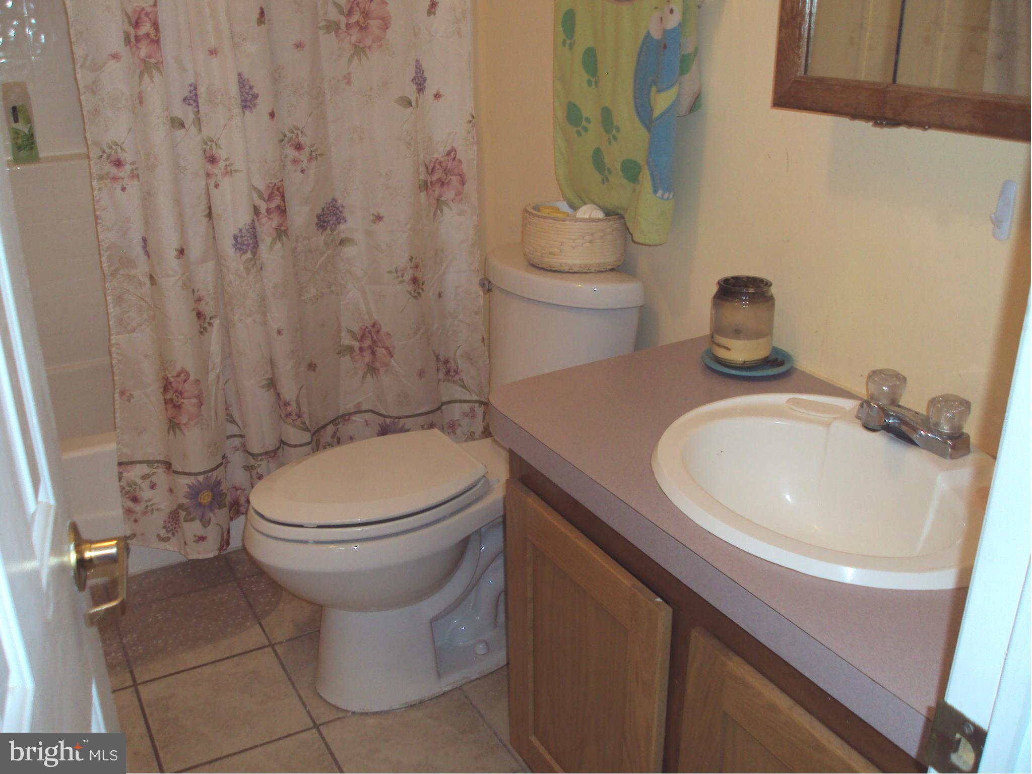 464 Marple Road Winchester, VA 22603 - Photo 7 of 12 Bath