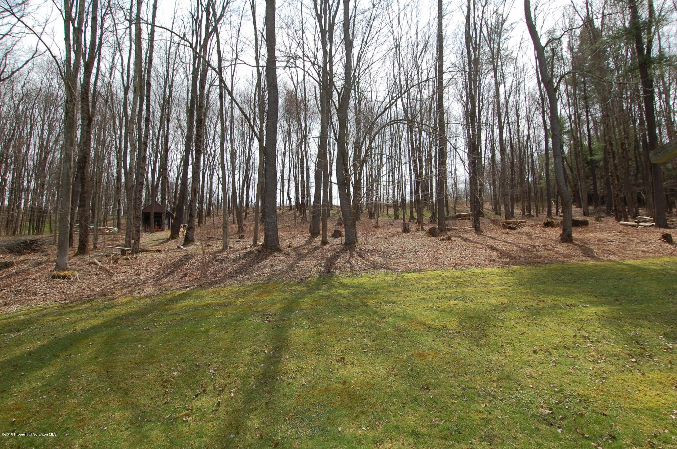 4126 State Rte 2012 Forest City, PA 18421 - Photo 41 of 66