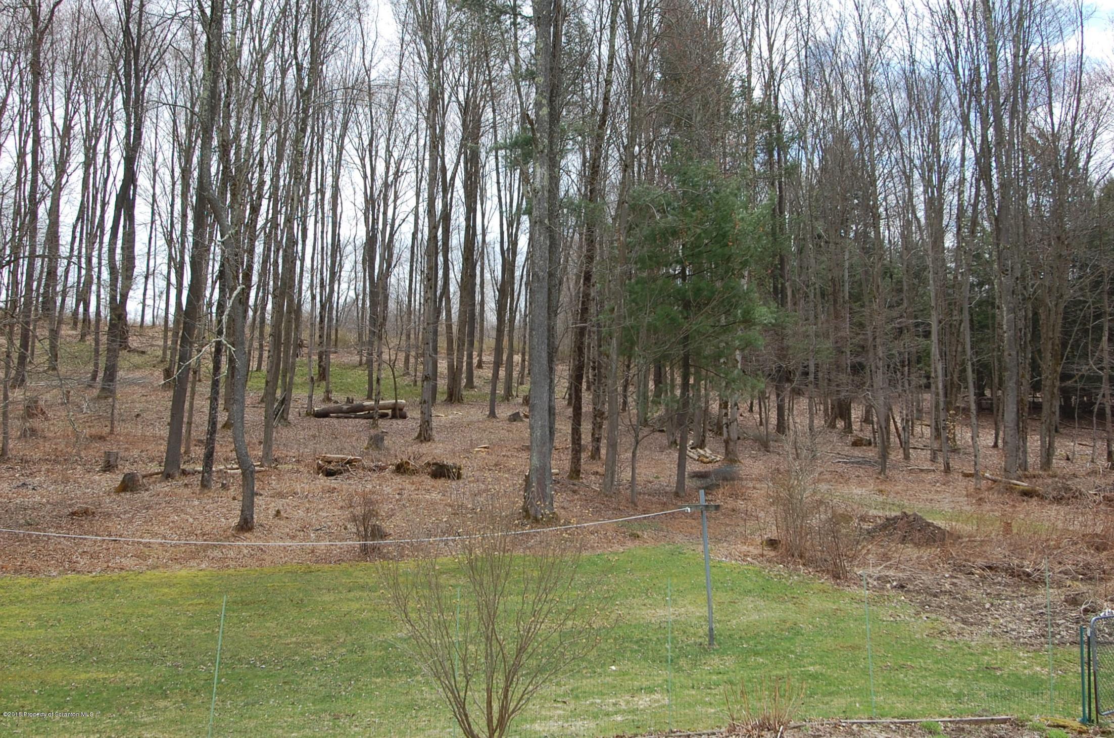 4126 State Rte 2012 Forest City, PA 18421 - Photo 42 of 66