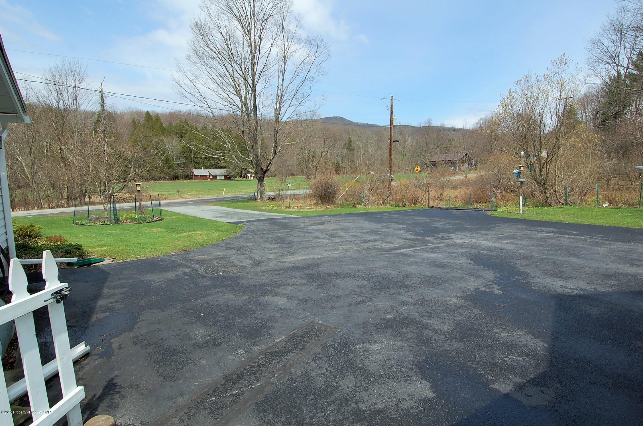 4126 State Rte 2012 Forest City, PA 18421 - Photo 63 of 66 a view of a yard with a slide
