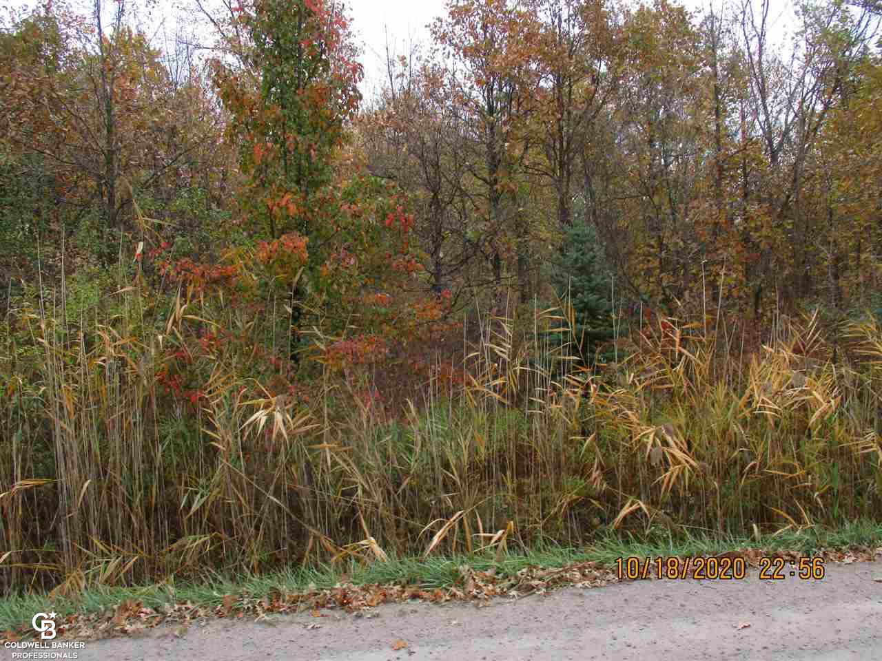 0 Place Road New Haven, MI 48050 - Photo 2 of 13 Gallery Image 2