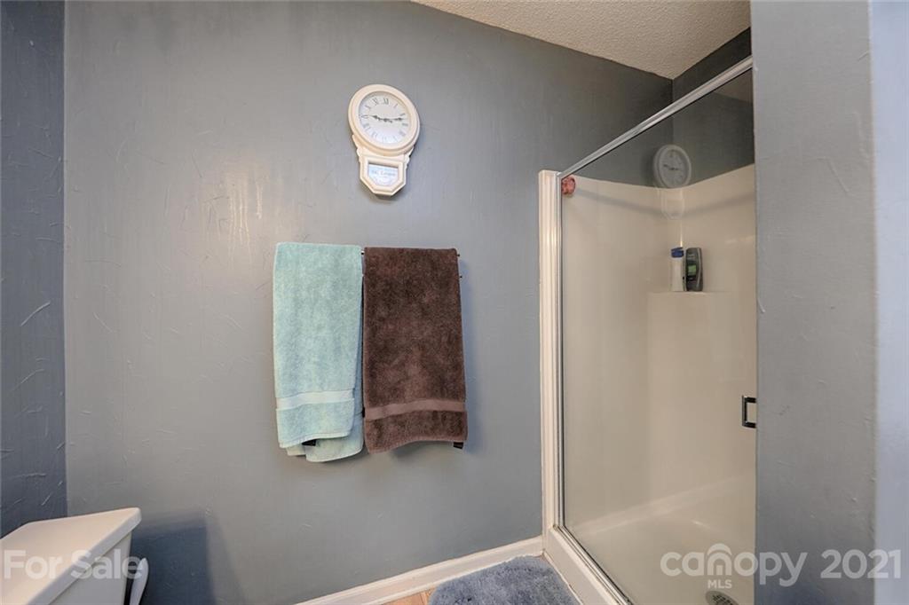 228 Bubbling Well Road Denver, NC 28037 - Photo 16 of 30 Gallery Image 16