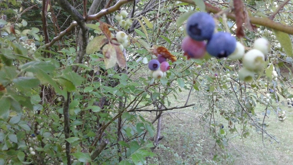 54 High Street Monson, MA 01057 - Photo 13 of 17