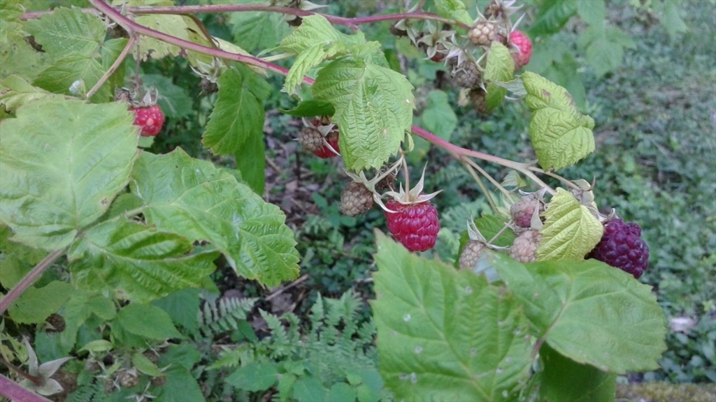 54 High Street Monson, MA 01057 - Photo 14 of 17