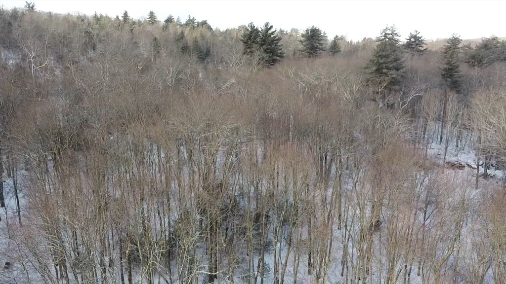 54 High Street Monson, MA 01057 - Photo 7 of 17