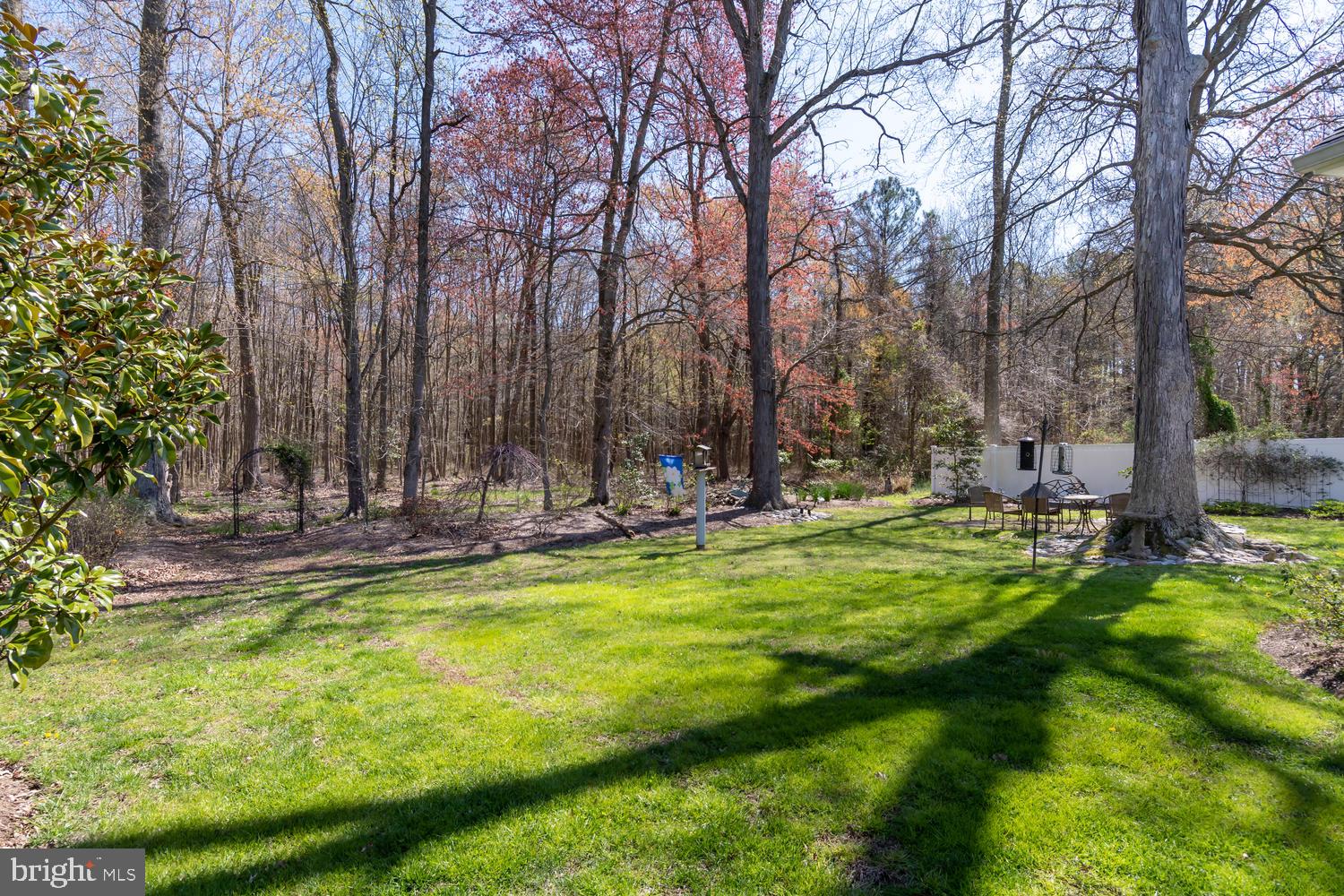 5167 Skinners Neck Road Rock Hall, MD 21661 - Photo 9 of 41 View of Backyard