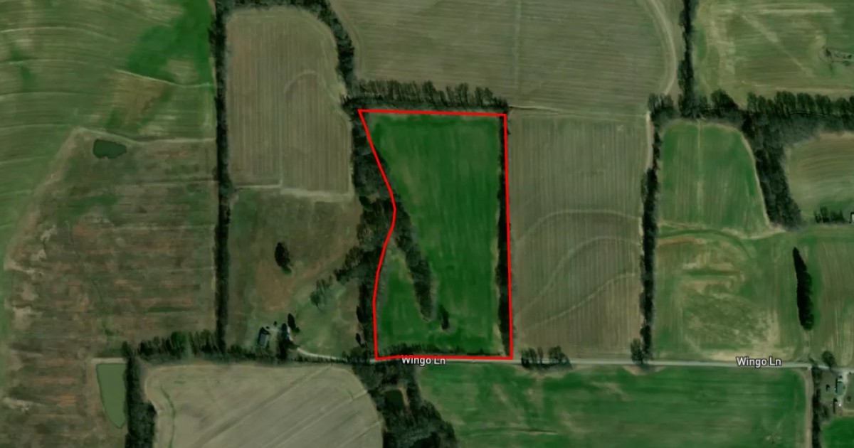 a view of a bird bath tub