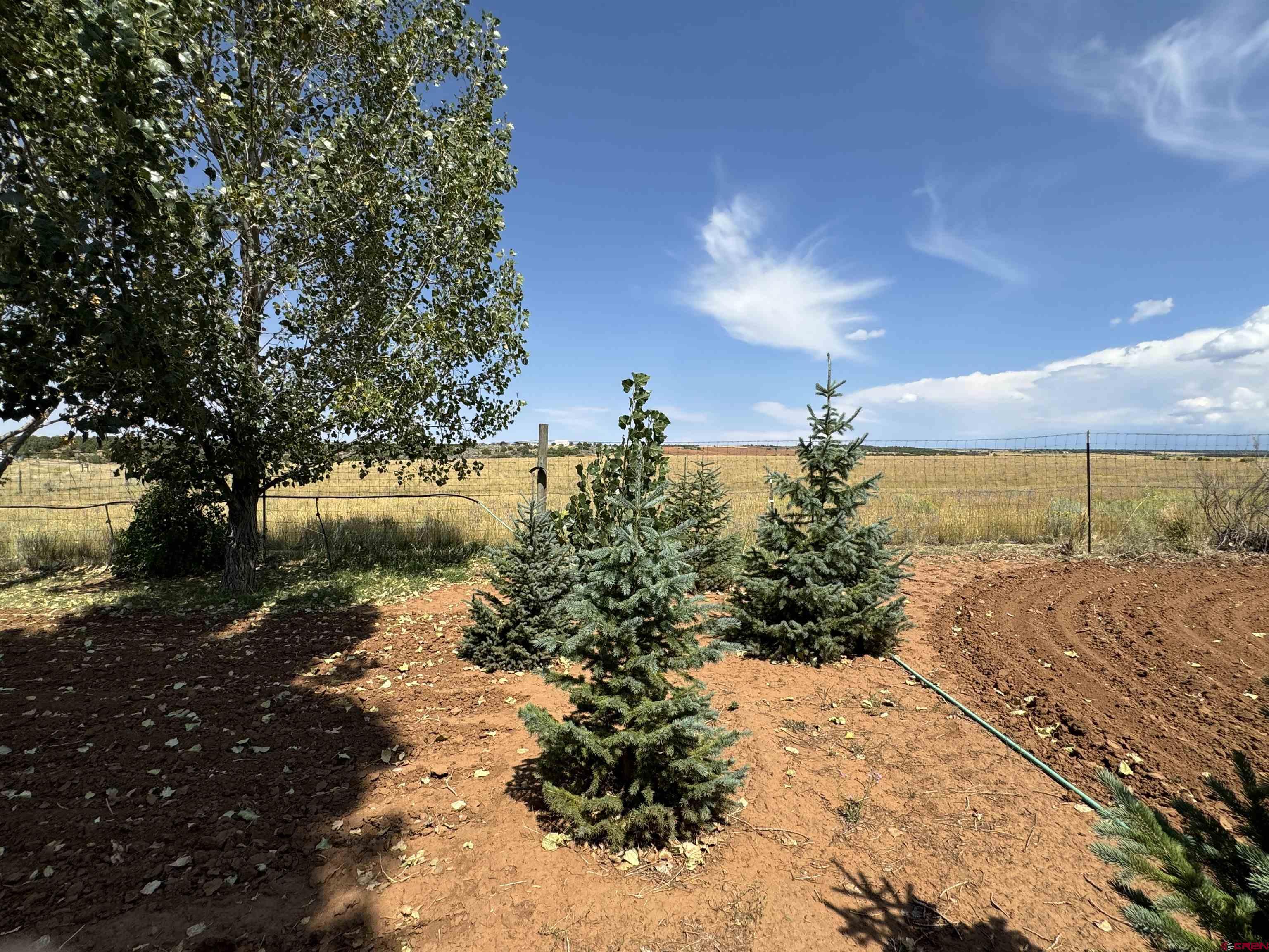 12383 Rd M Cahone, CO 81320 - Photo 38 of 42 Gallery Image 38