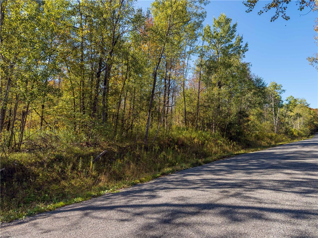 Reservoir Hill Road Norwich, NY 13815 - Photo 1 of 50