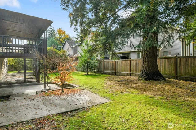 a view of a backyard with a tree