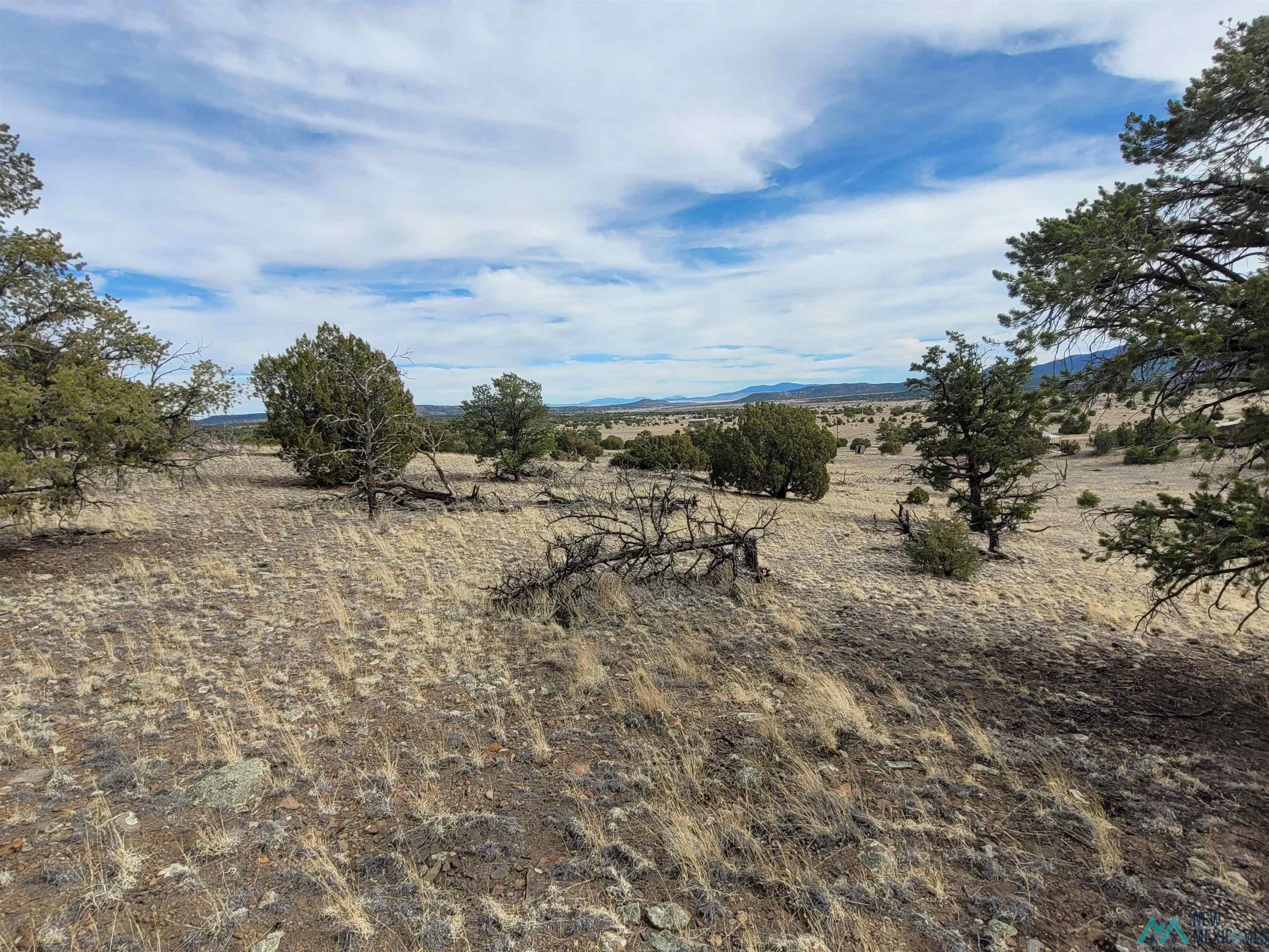 47 Cougar Run Datil, NM 87821 - Photo 9 of 38 Gallery Image 9