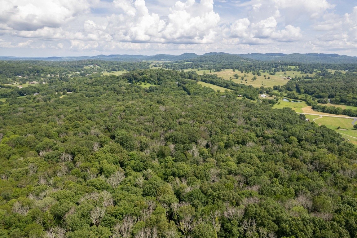 0 Trammel Lane Lebanon, TN 37090 - Photo 11 of 16 a view of a green field