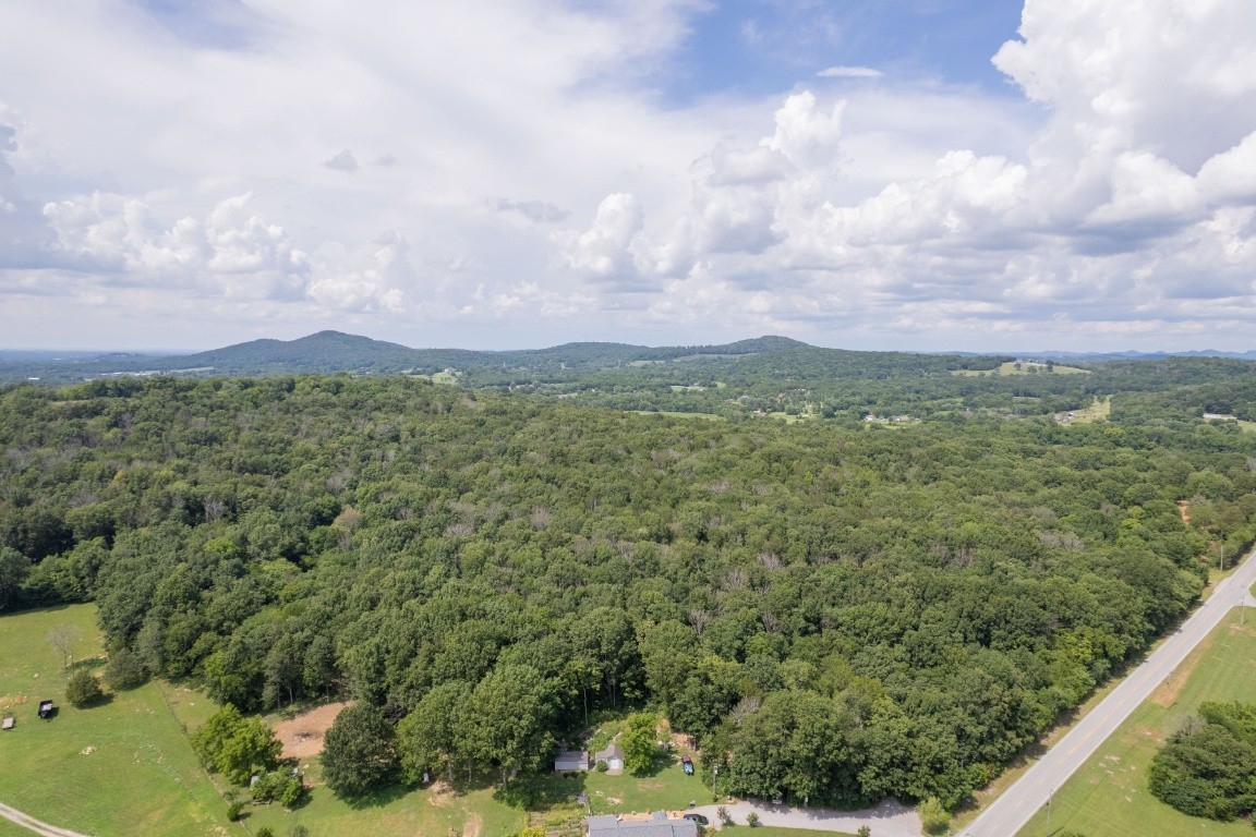 0 Trammel Lane Lebanon, TN 37090 - Photo 12 of 16 a view of a city with lush green forest