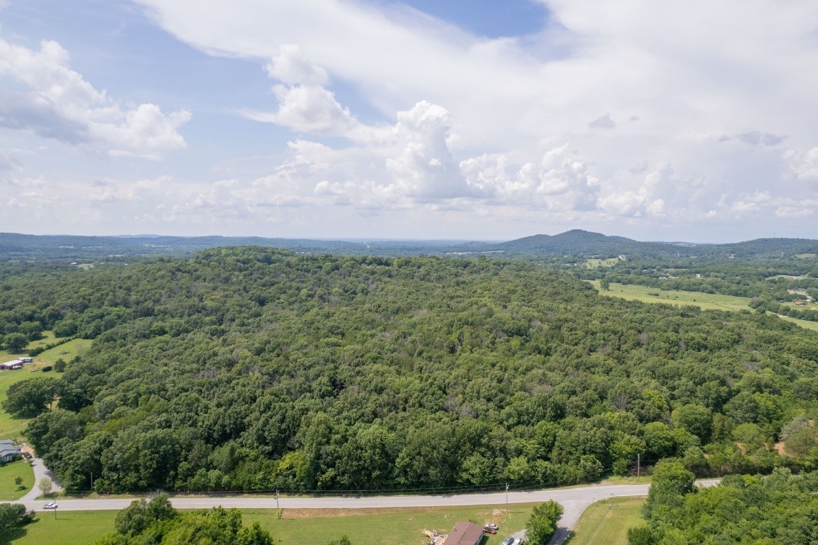 0 Trammel Lane Lebanon, TN 37090 - Photo 13 of 16 a view of a city with lush green forest