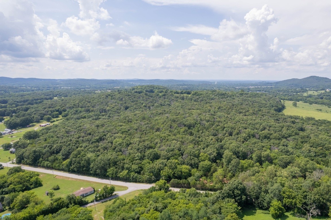 0 Trammel Lane Lebanon, TN 37090 - Photo 14 of 16 a view of a green field with lots of bushes
