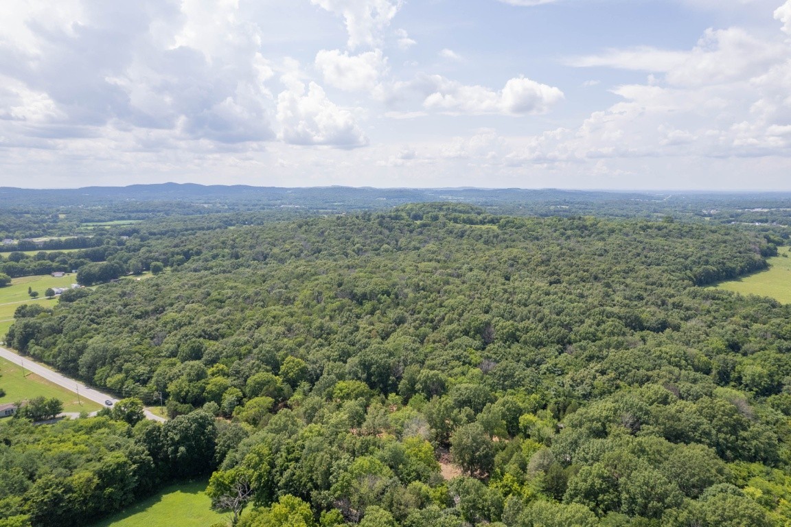 0 Trammel Lane Lebanon, TN 37090 - Photo 15 of 16 a view of a green field