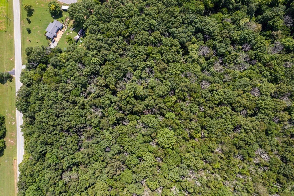 0 Trammel Lane Lebanon, TN 37090 - Photo 16 of 16 unknown