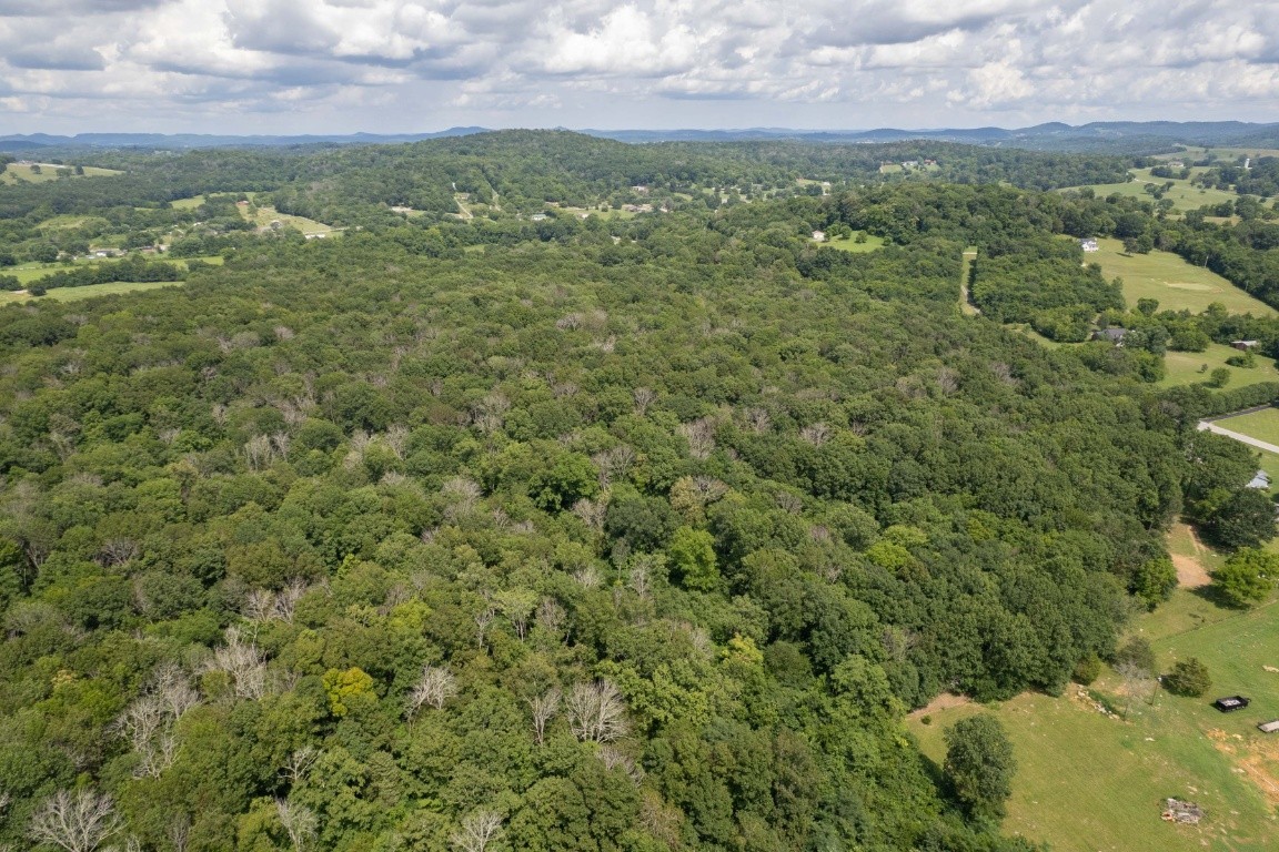 0 Trammel Lane Lebanon, TN 37090 - Photo 5 of 16 a view of a city with lush green forest