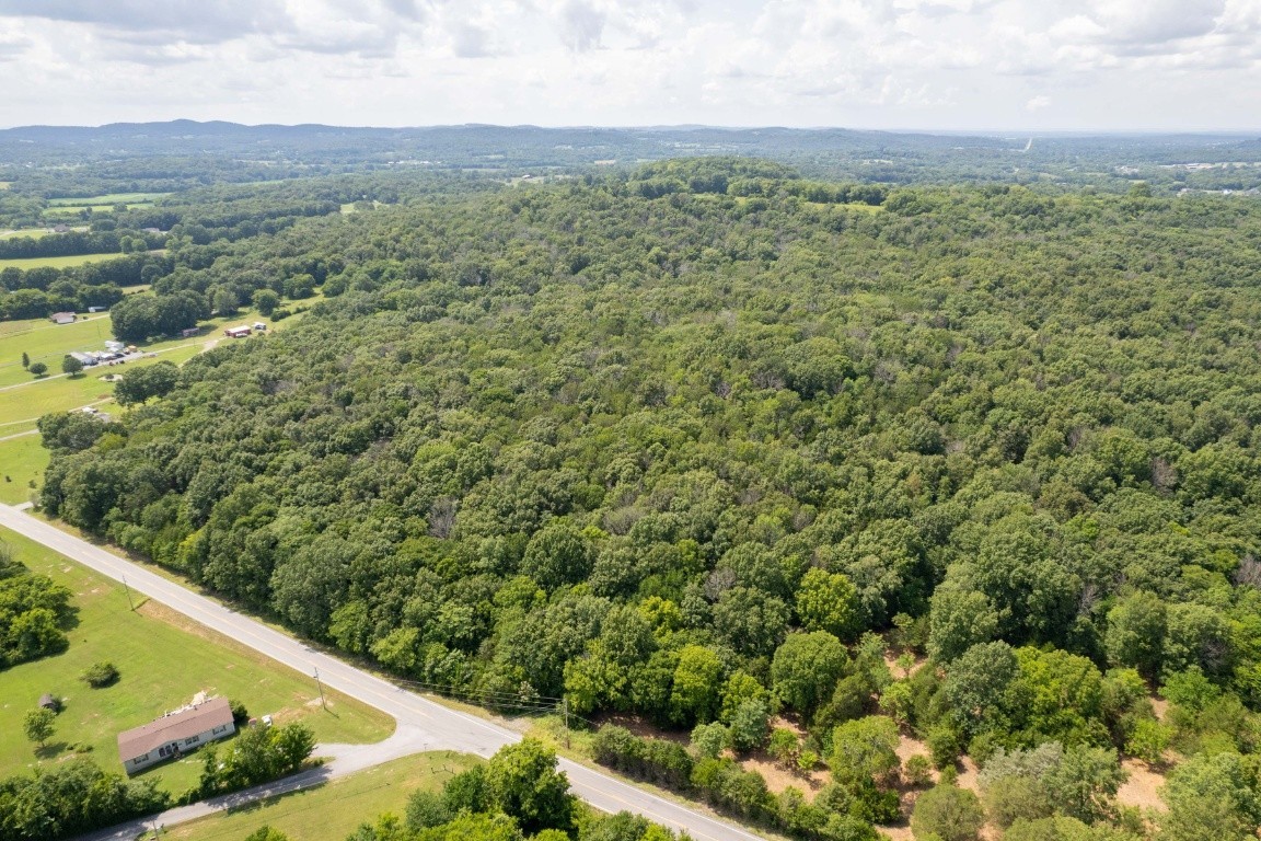 0 Trammel Lane Lebanon, TN 37090 - Photo 6 of 16 a view of a lush green field