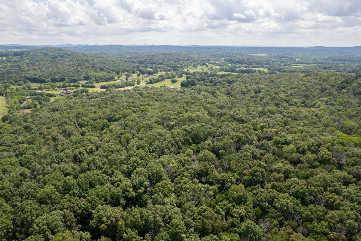 0 Trammel Lane Lebanon, TN 37090 - Photo 8 of 16 an aerial view of forest
