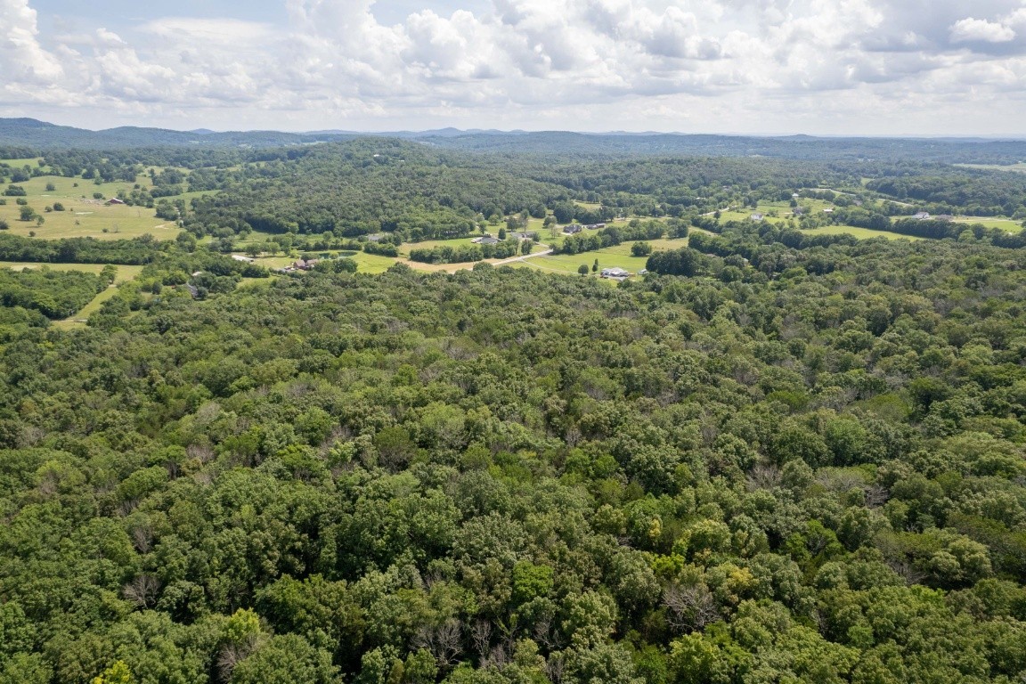0 Trammel Lane Lebanon, TN 37090 - Photo 9 of 16 an aerial view of residential houses with outdoor space and trees