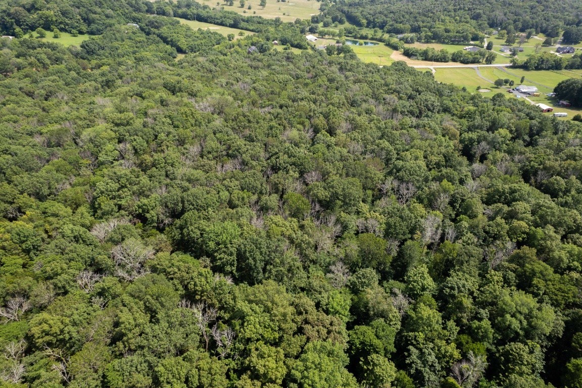 0 Trammel Lane Lebanon, TN 37090 - Photo 10 of 16 an aerial view of residential houses with outdoor space and trees