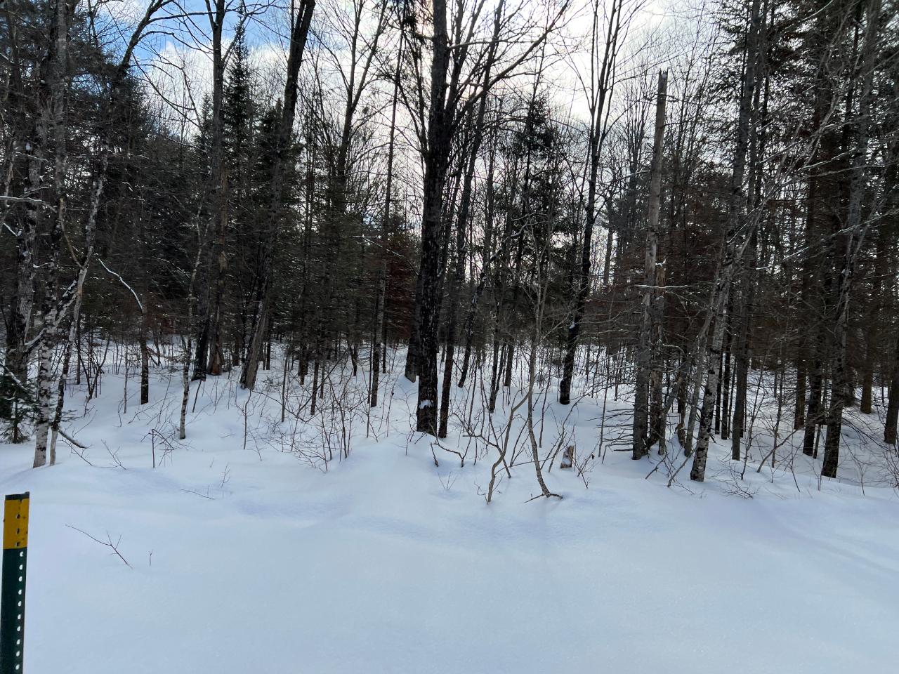 On East Anvil Lake Road, Unit LOT 3 Eagle River, WI 54521 - Photo 3 of 4 Gallery Image 3