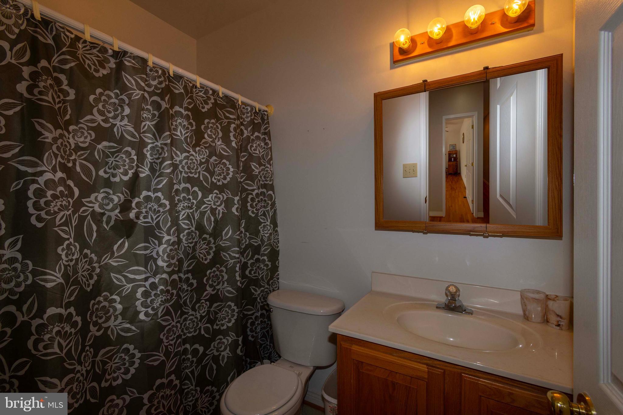 6000 Haleys Mill Road Spotsylvania, VA 22551 - Photo 39 of 85 a bathroom with a sink toilet and mirror