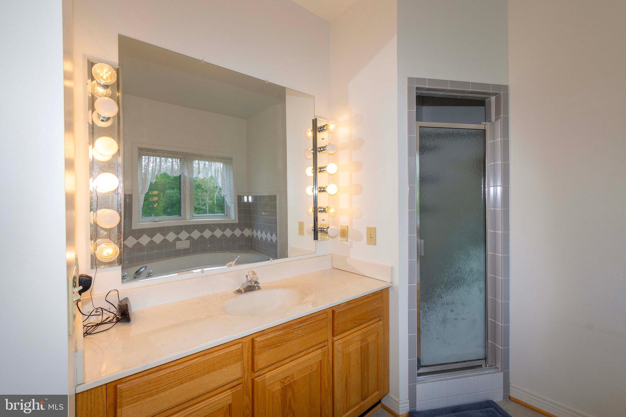 6000 Haleys Mill Road Spotsylvania, VA 22551 - Photo 44 of 85 a bathroom with a sink and a mirror
