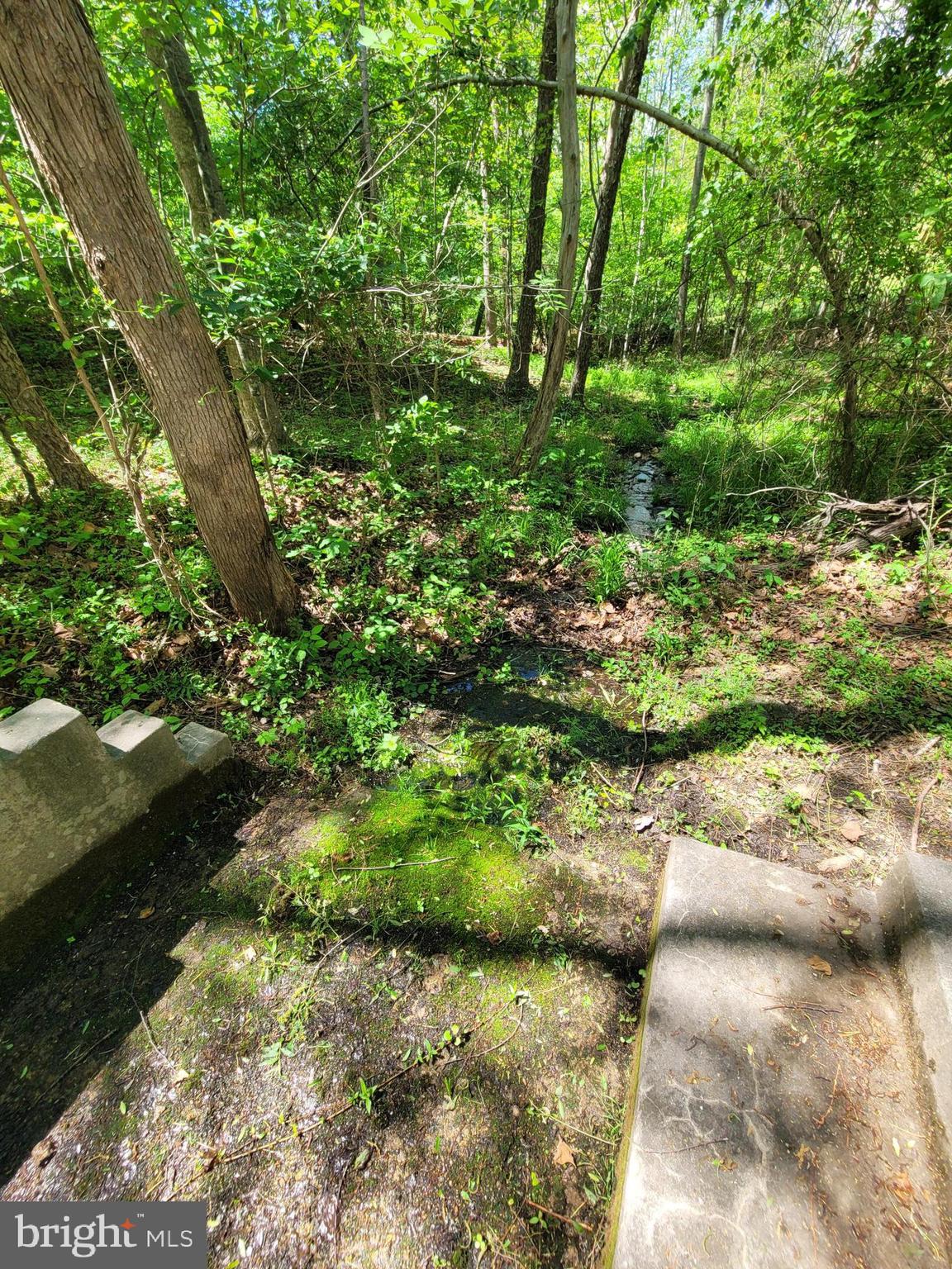 6000 Haleys Mill Road Spotsylvania, VA 22551 - Photo 77 of 85