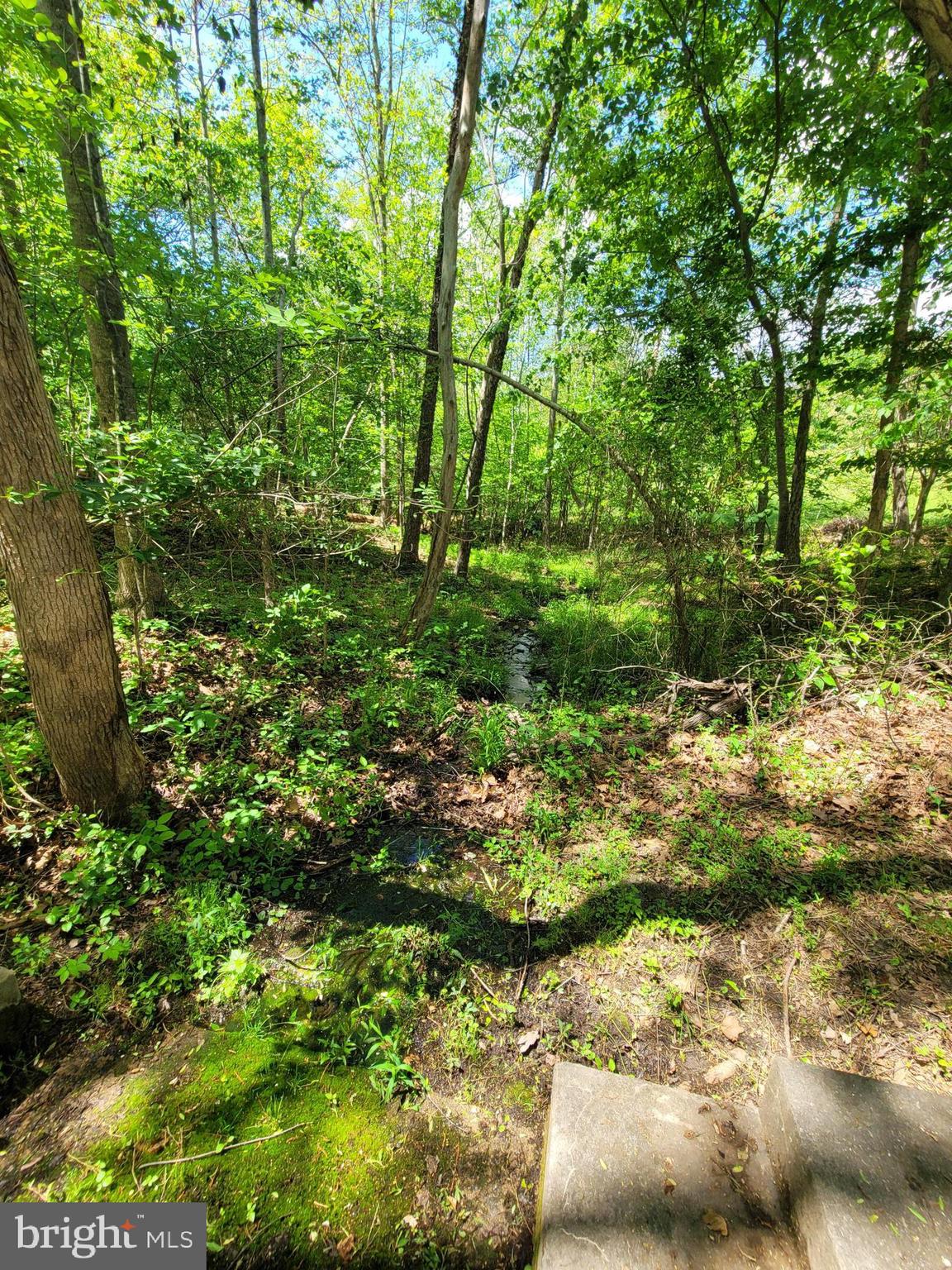 6000 Haleys Mill Road Spotsylvania, VA 22551 - Photo 78 of 85