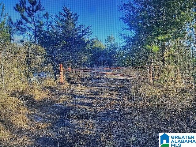 13330 Lock 17 Road, Unit ACREAGE Adger, AL 35006 - Photo 5 of 10 Gallery Image 5