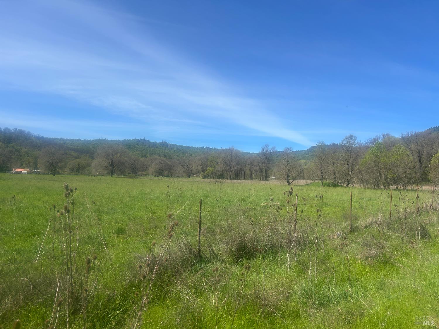 0 Zenia Road Covelo, CA 95428 - Photo 11 of 14