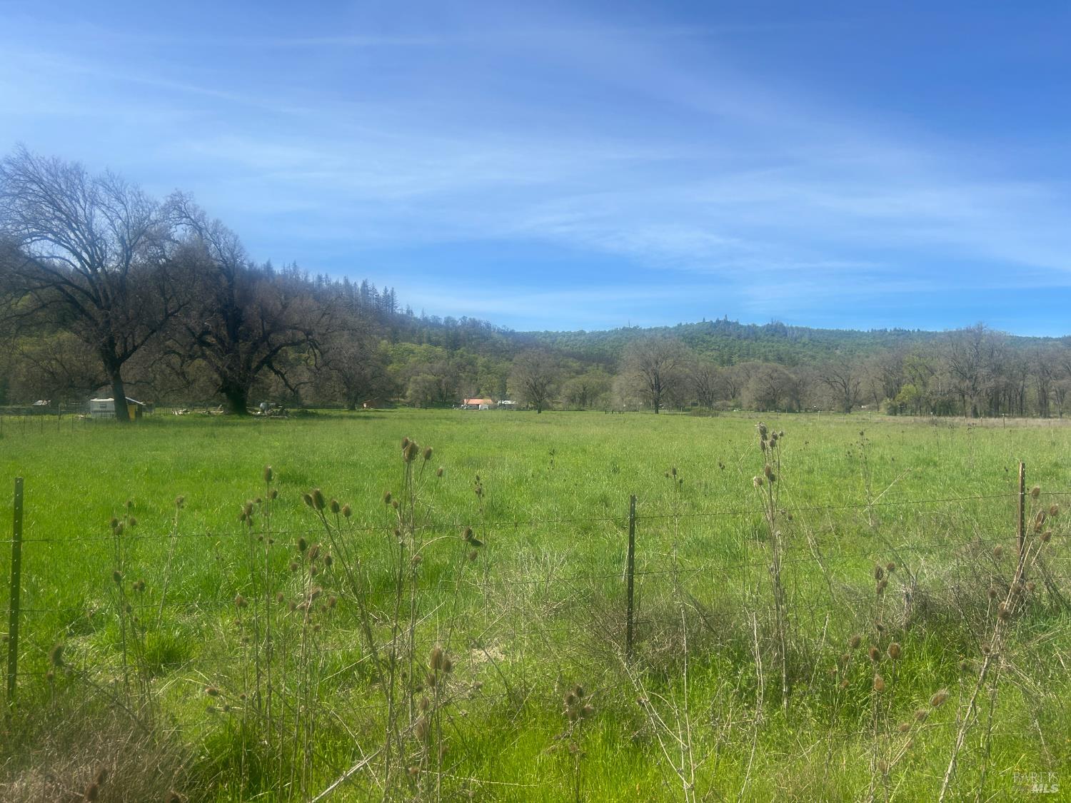 0 Zenia Road Covelo, CA 95428 - Photo 12 of 14