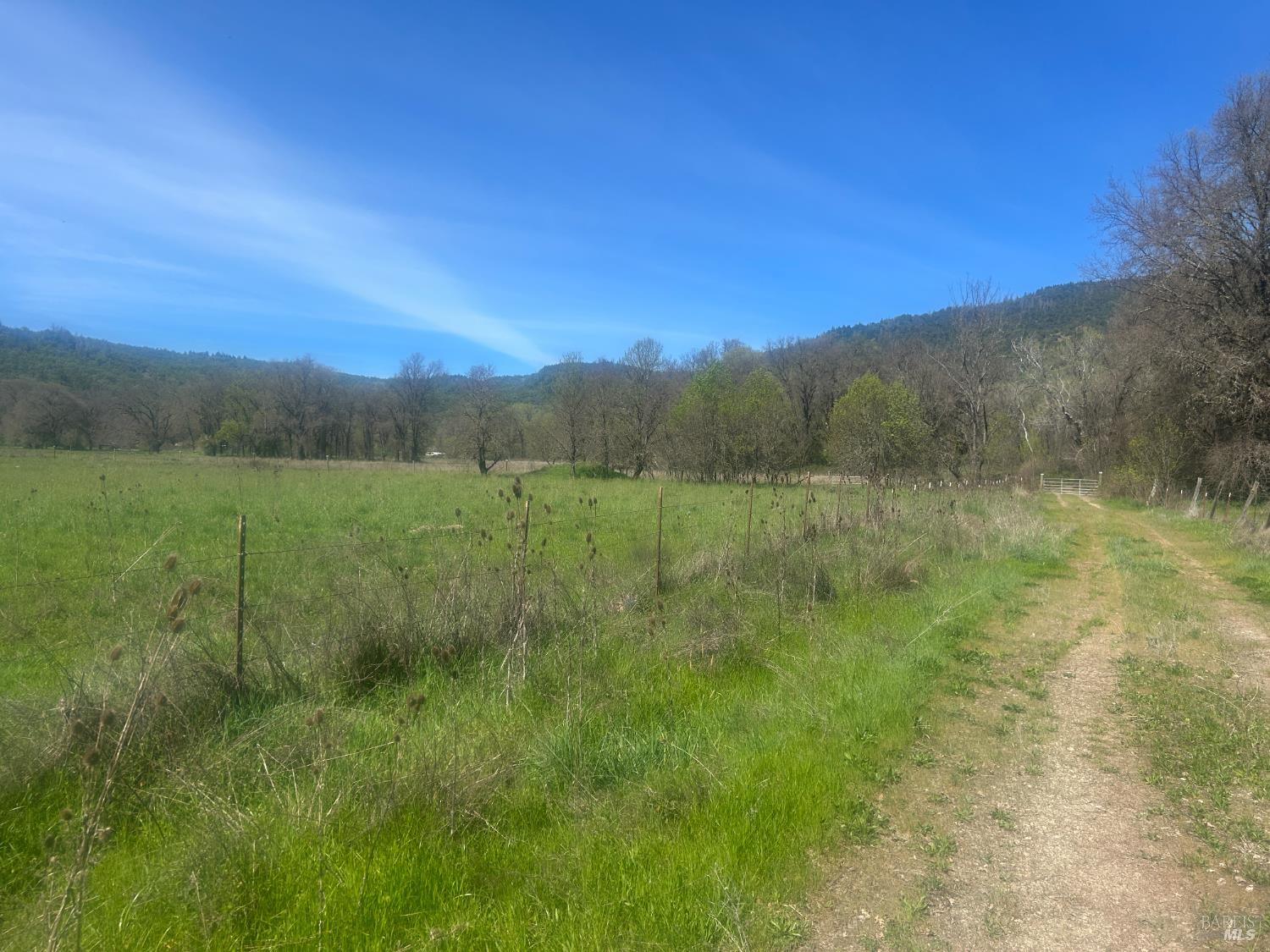 0 Zenia Road Covelo, CA 95428 - Photo 13 of 14