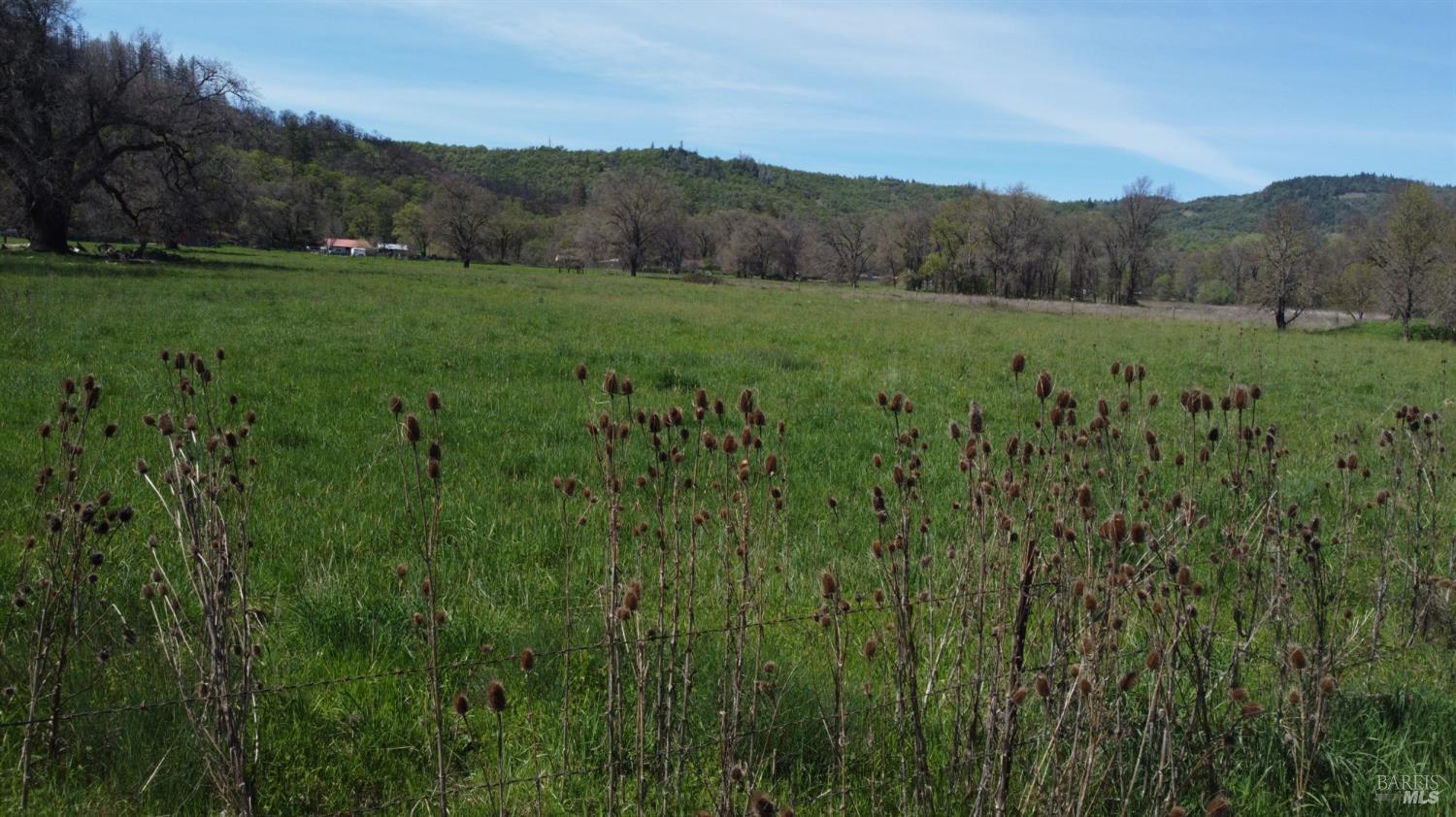 0 Zenia Road Covelo, CA 95428 - Photo 10 of 14