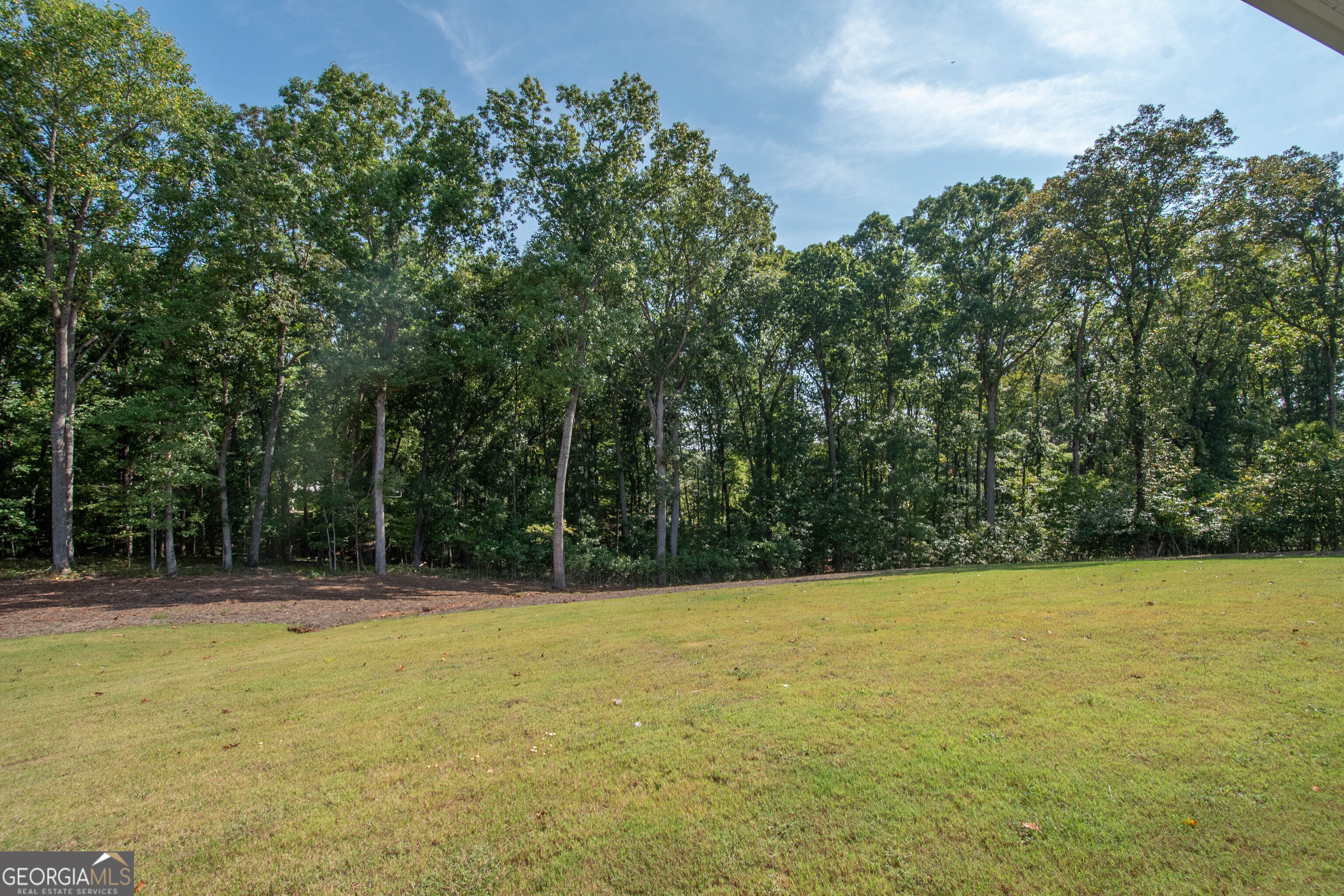 17 Hedge Court Newnan, GA 30263 - Photo 39 of 43