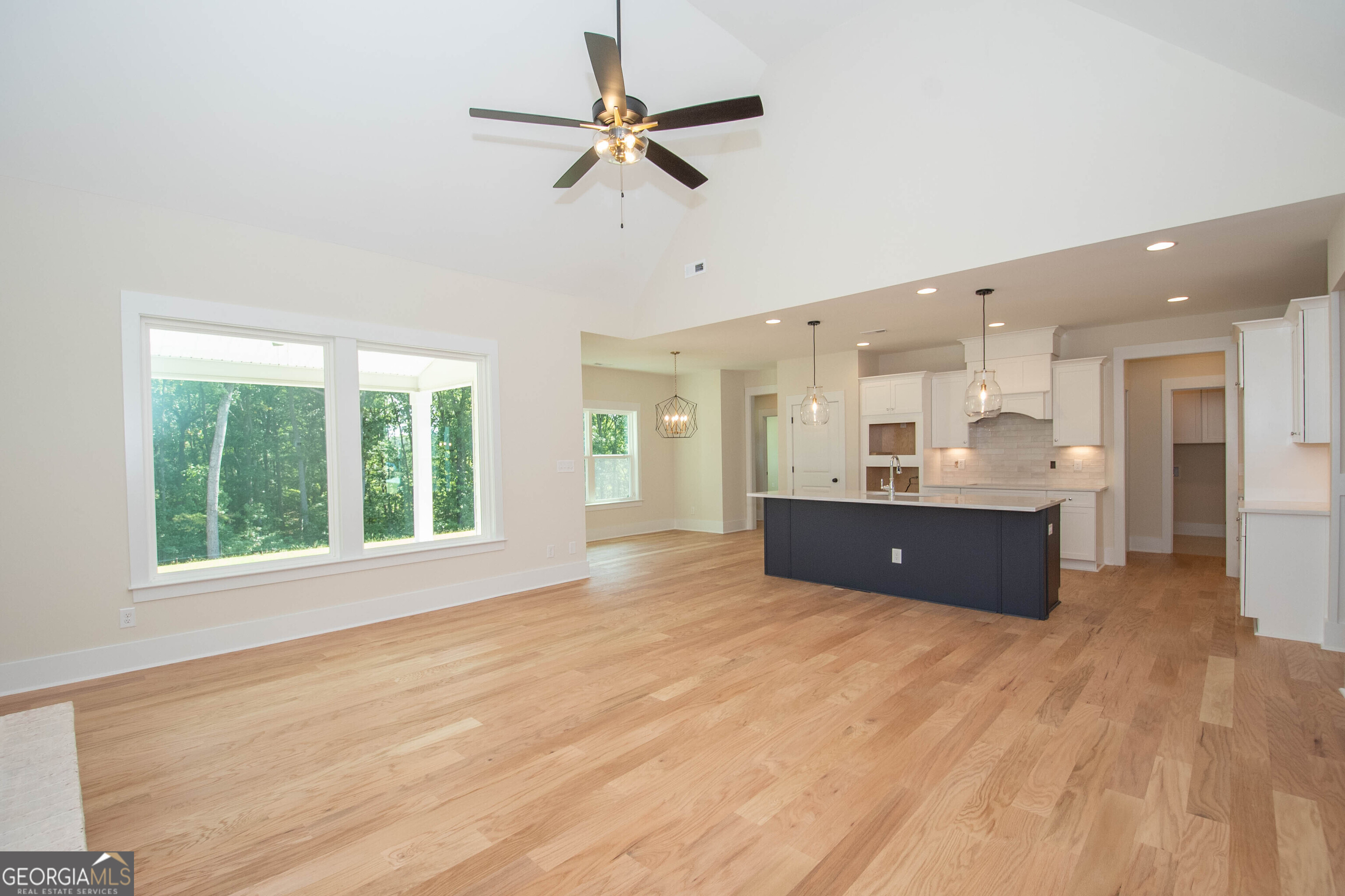 17 Hedge Court Newnan, GA 30263 - Photo 6 of 43