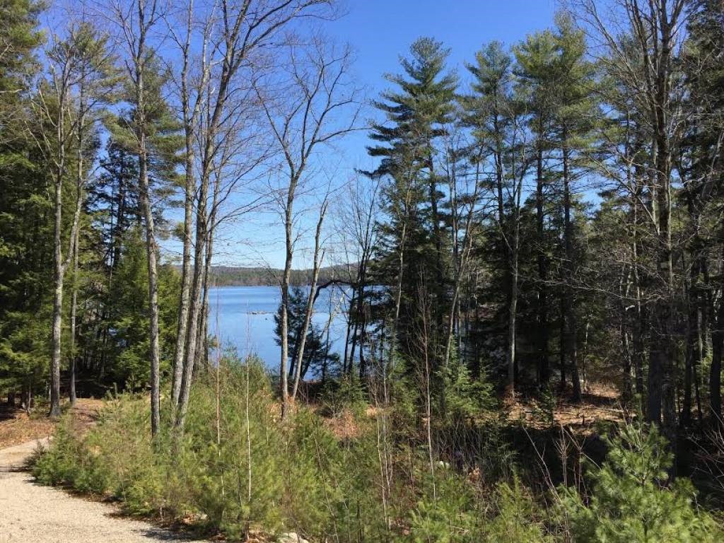 503 Strich Road Conway, NH 03813 - Photo 4 of 20