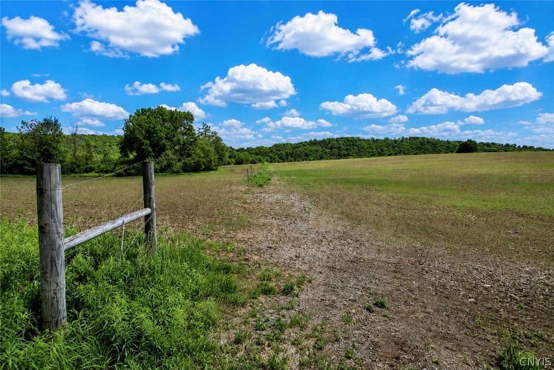 0 Roberts Road Eaton, NY 13334 - Photo 4 of 13