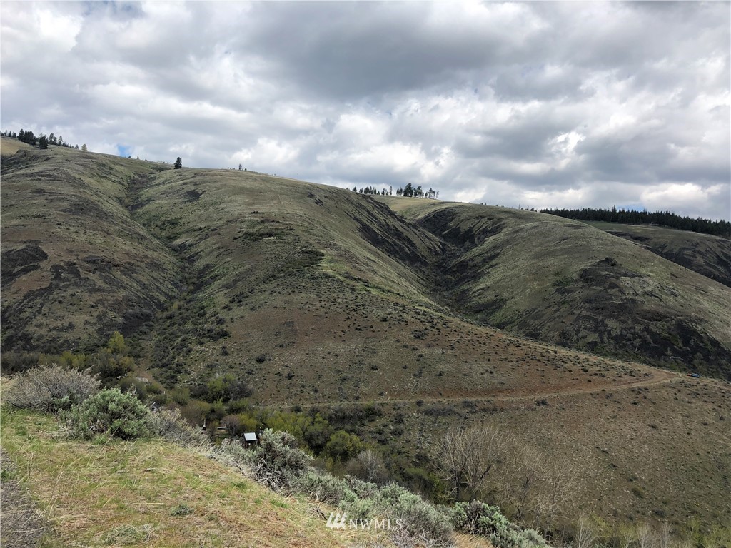 3 D Sun East Road Ellensburg, WA 98926 - Photo 11 of 12 Gallery Image 11