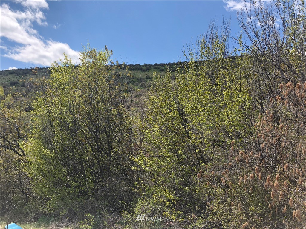 3 D Sun East Road Ellensburg, WA 98926 - Photo 8 of 12 Gallery Image 8