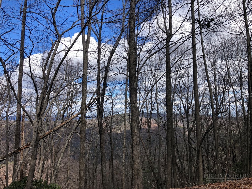Lot 21 Bobcat Mountain Road Purlear, NC 28665 - Photo 5 of 46 a view of trees with a house