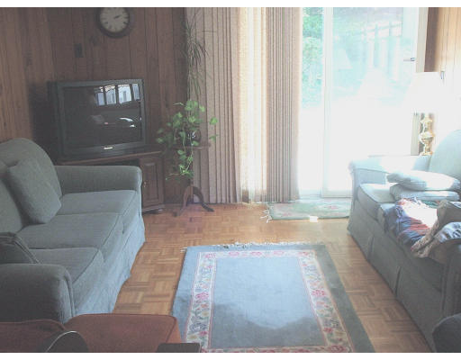 133 Fern Road Medford, MA 02155 - Photo 11 of 23 a living room with furniture and a potted plant