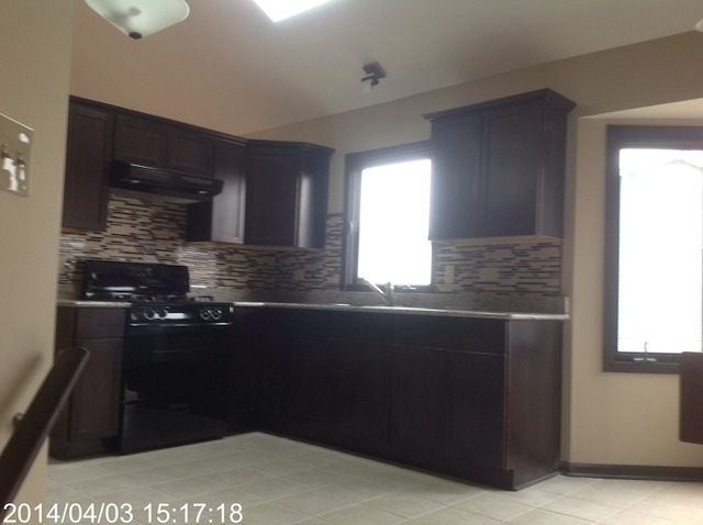 151 White Oaks Road Matteson, IL 60443 - Photo 5 of 12 a kitchen with a sink a window and cabinets