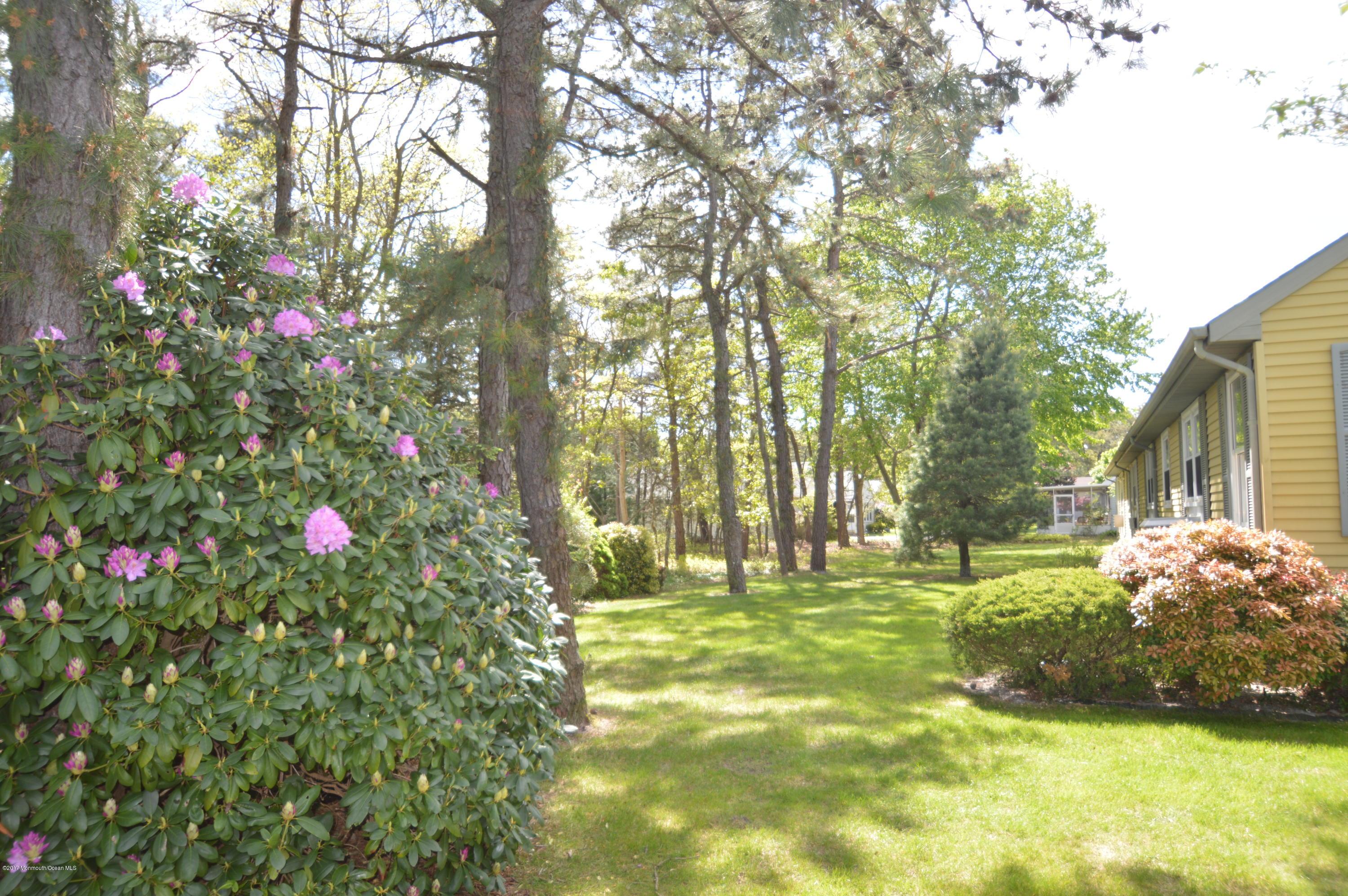 4D Stonybrook Road, Unit D Whiting, NJ 08759 - Photo 5 of 26 DSC_0003