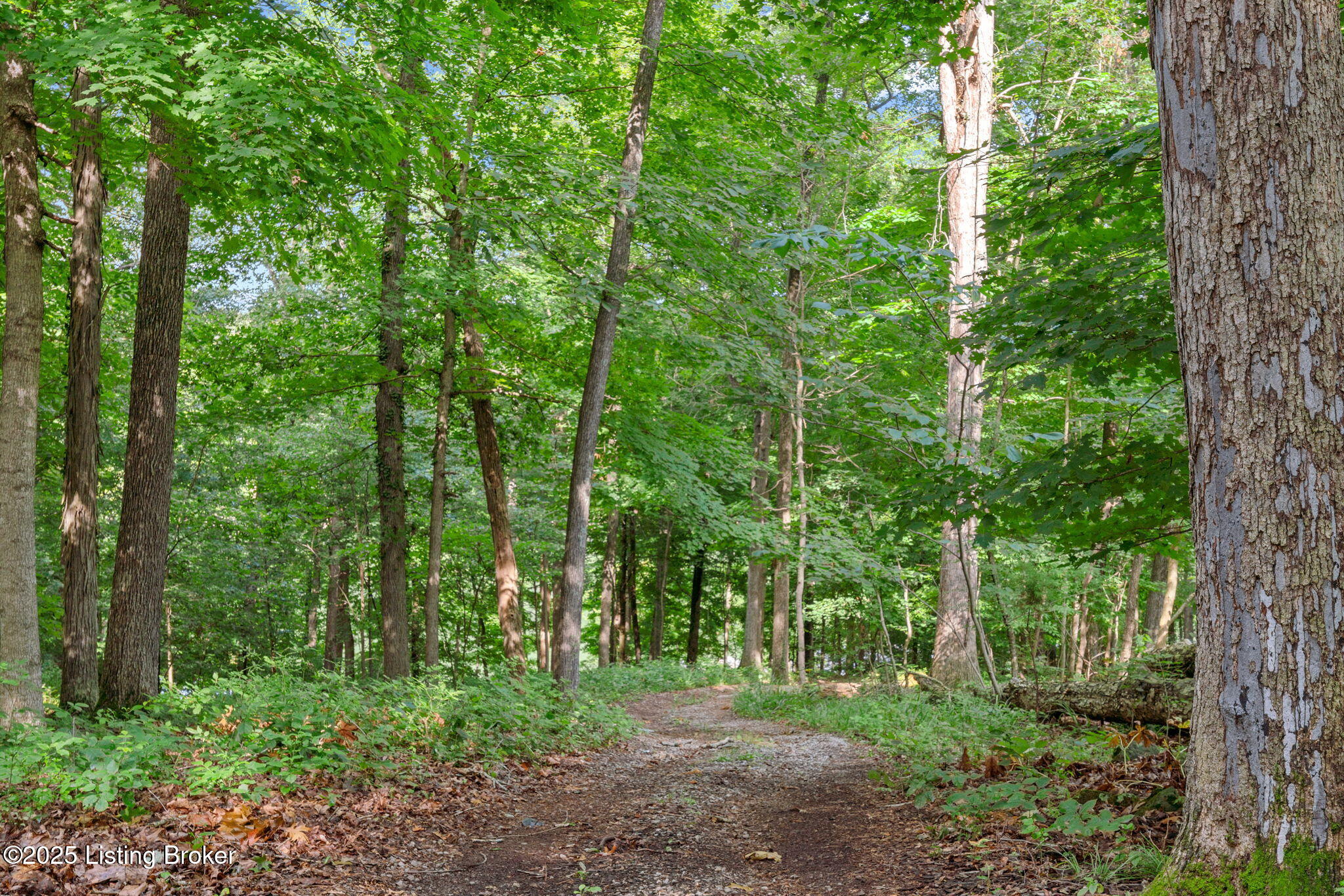 479 Indian Ridge Road Falls Of Rough, KY 40119 - Photo 39 of 39 39-web-or-mls-DSC03349