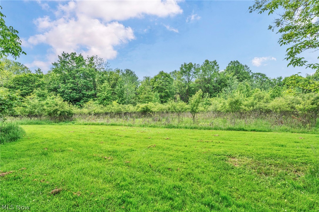 51464 North Ridge Road Vermilion, OH 44089 - Photo 8 of 37 View of yard
